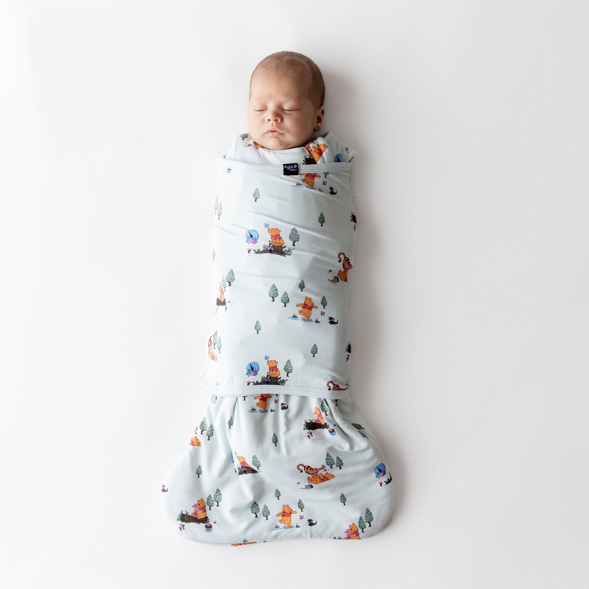 Hundred_Acre_Wood_Sleep_Bag_Swaddler_01