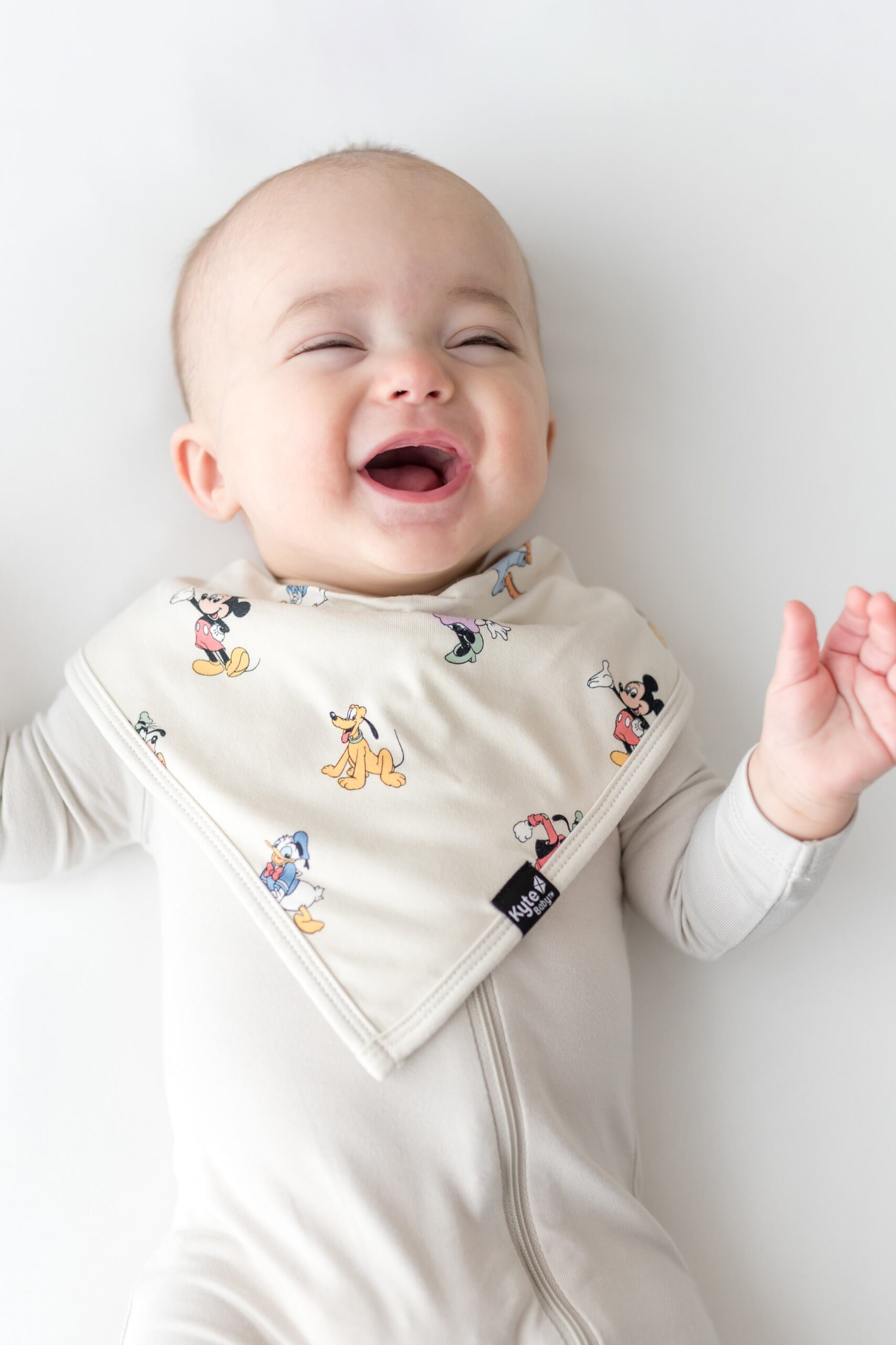 Mickey_Mouse_and_Friends_Bib_01